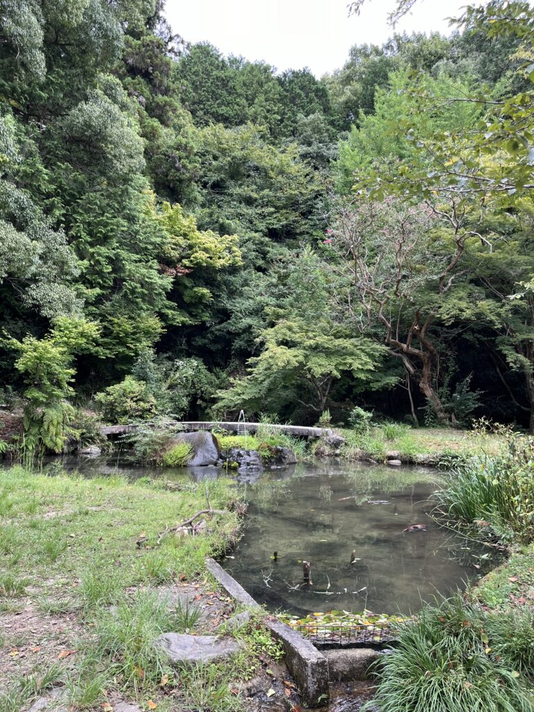 三宅八幡神社の横にある池。鯉が泳いでいて、奥には小さな滝があります。